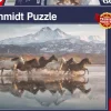 Schmidt: Horses in Cappadocia (1000)