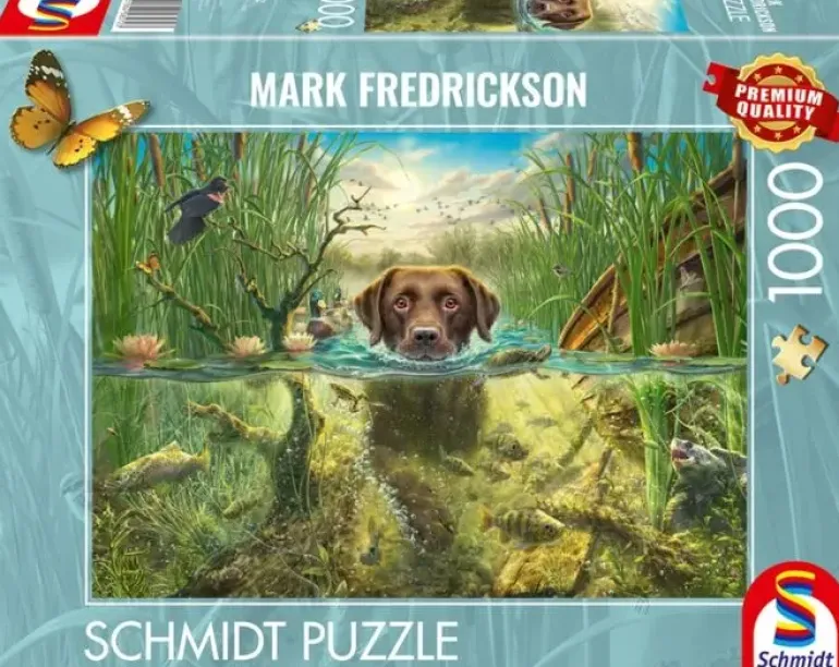 Schmidt: Mark Fredrickson - A Chocolate Labrador Takes a Cool Dip (1000)