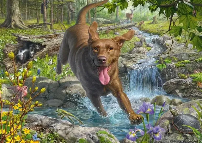 Schmidt: Mark Fredrickson - Springtime Cavorting with a Labrador Retriever (1000)