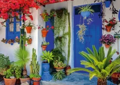 Schmidt: Mediterranean Door (1000)