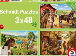Schmidt: My Favourite Horses (3 x 48)