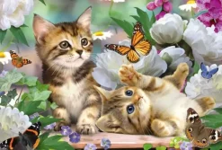 Schmidt: Playful Kittens (150)