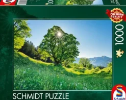 Schmidt: Sycamore Maple in the Sunlight - St. Gallen, Switzerland (1000)