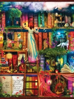 SunsOut: Aimee Stewart - Treasure Hunt Bookshelf (1000)