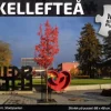 Svenskapussel: Skellefteå - Färg & Form, Stadsparken (1000)