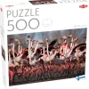 Tactic: Greater Flamingos (500)