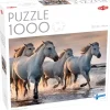 Tactic: White horses on the beach (1000)