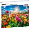 Tildas: Ett Hav av Tulpaner (1000)
