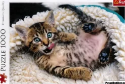 Trefl: Cheerful Kitten (1000)
