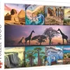 Trefl: Collage, Africa (1000)