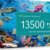 Trefl: Dive Into Underwater Paradise (13500)
