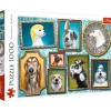 Trefl: Doggies Gallery (1000)