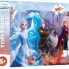 Trefl: Frozen II - Heroes in the Woods (100)