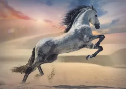 Trefl: Majestic Horse (1000)