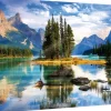 Trefl: Spirit Island (1000)