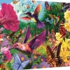 Trefl: Steve Read - Garden for Birds (1000)