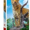 Trefl: Wild Leopard (500)