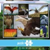 WWF Puzzle: Birds (1000)