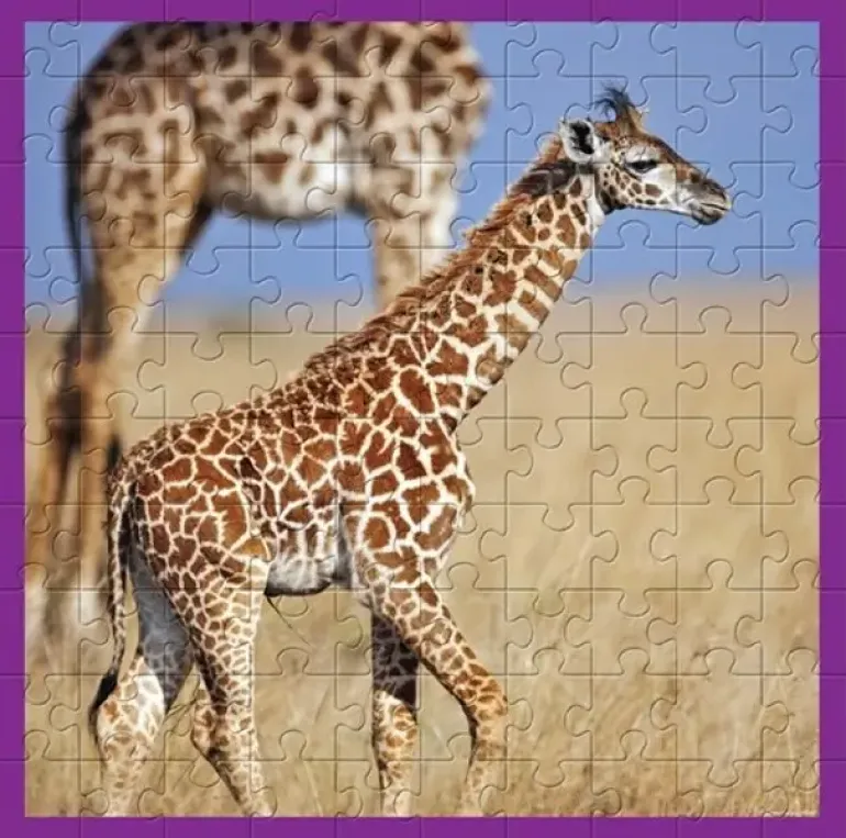 WWF Puzzle: Giraffes (100)